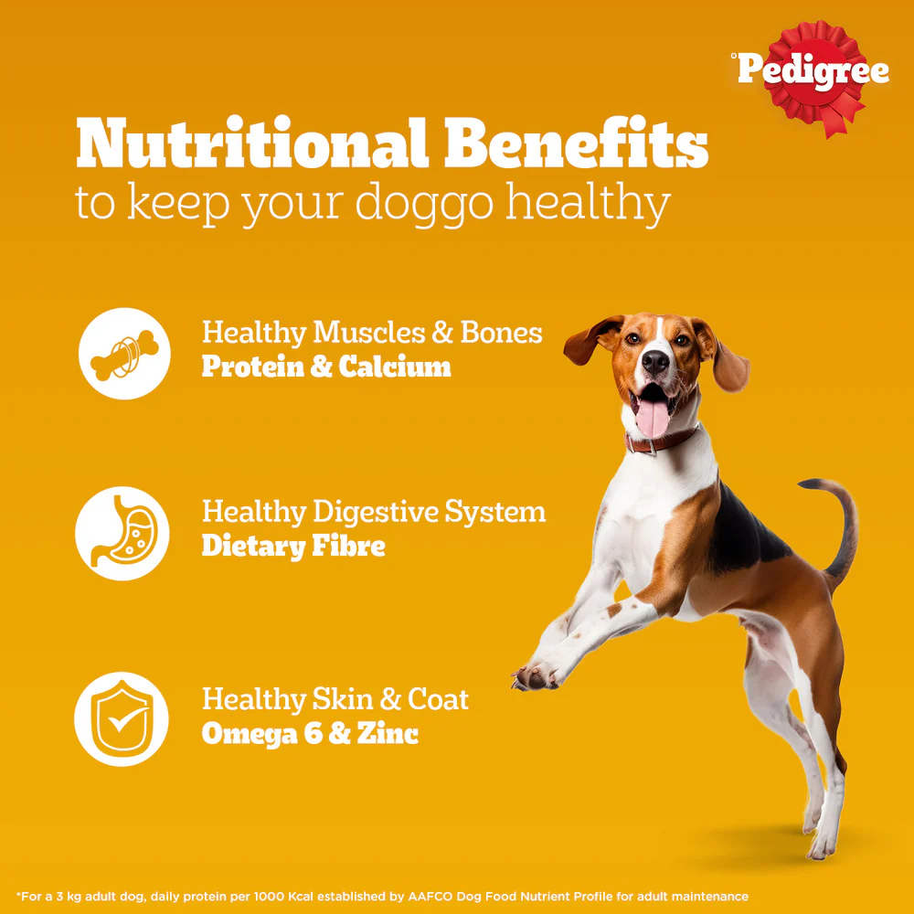 Pedigree PRO Active Adult Large Breed Dry Food, Pedigree Chicken Liver Gravy Dogs Wet Food Combo - Image 14