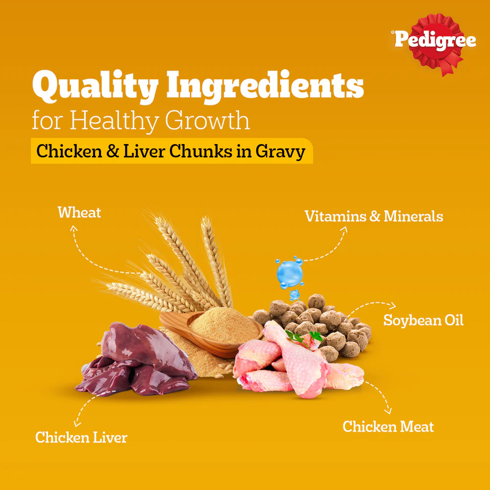 Pedigree PRO Active Adult Large Breed Dry Food, Pedigree Chicken Liver Gravy Dogs Wet Food Combo - Image 15