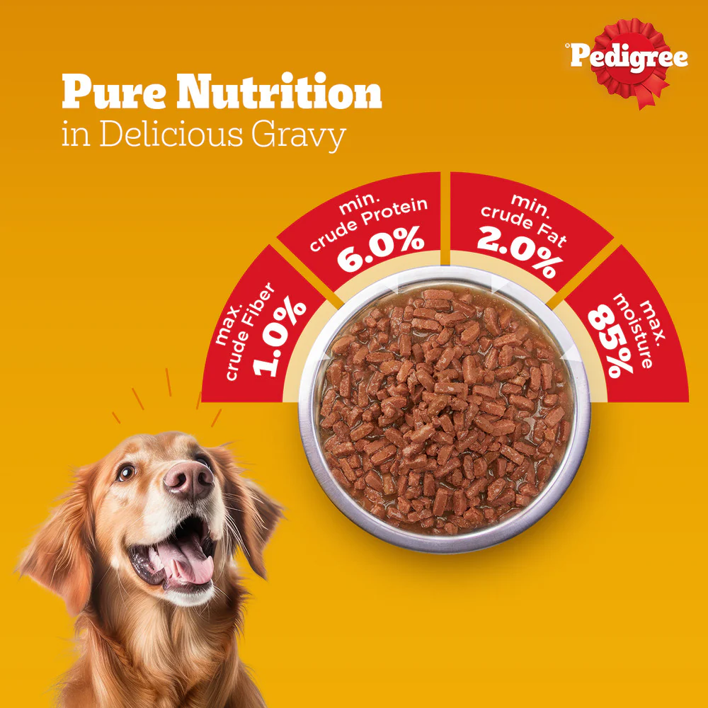 Pedigree PRO Active Adult Large Breed Dry Food, Pedigree Chicken Liver Gravy Dogs Wet Food Combo - Image 16