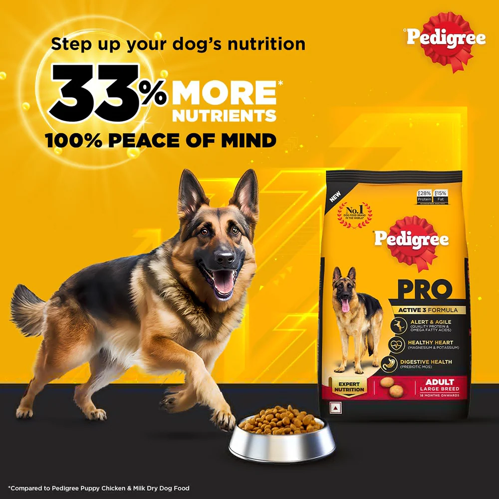 Pedigree PRO Active Adult Large Breed Dry Food, Pedigree Chicken Liver Gravy Adult Dog Wet Food Combo - Image 4