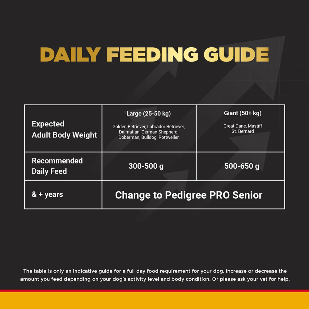Pedigree PRO Active Adult Large Breed Dry Food, Pedigree Chicken Liver Gravy Adult Dog Wet Food Combo - Image 5