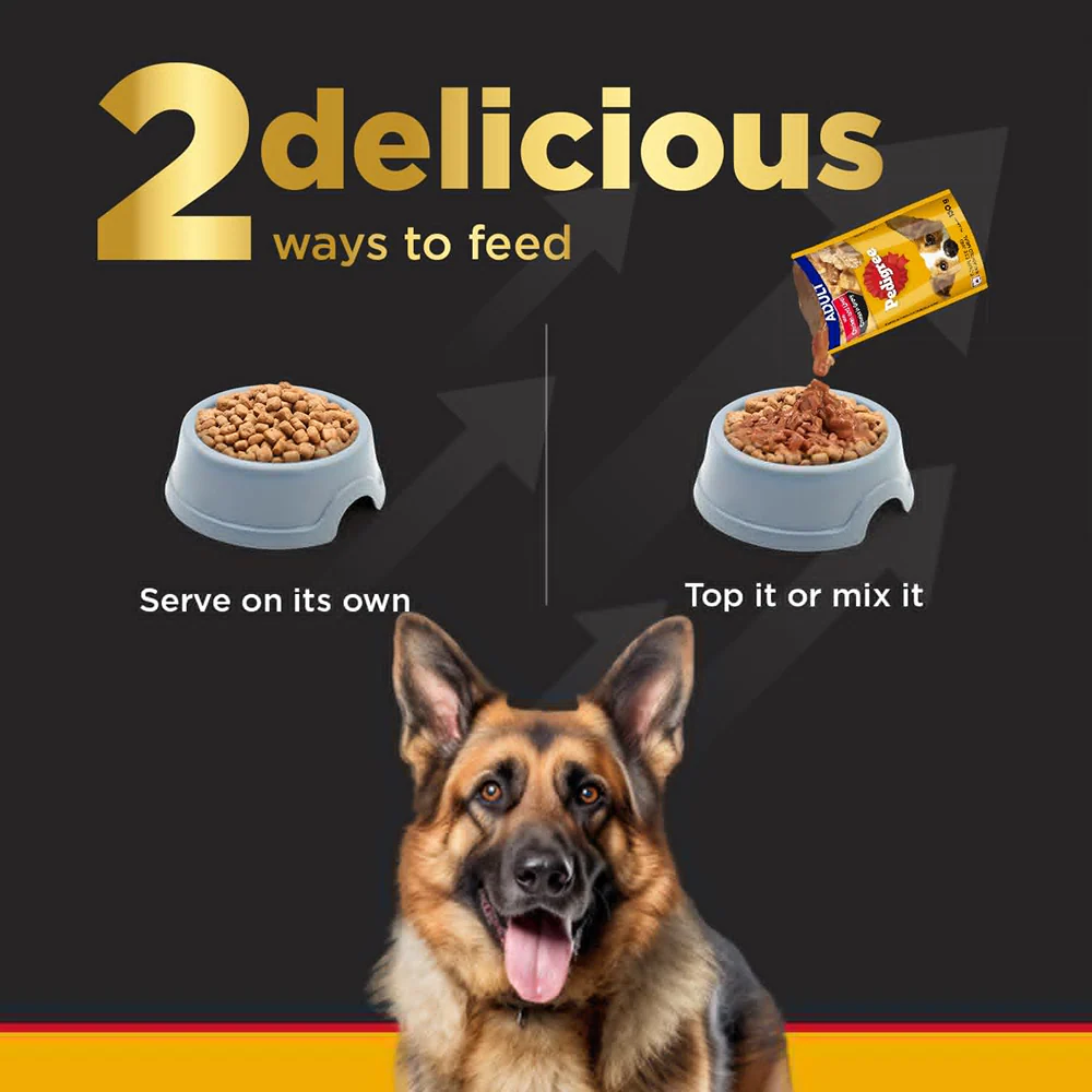 Pedigree PRO Active Adult Large Breed Dry Food, Pedigree Chicken Liver Gravy Adult Dog Wet Food Combo - Image 7