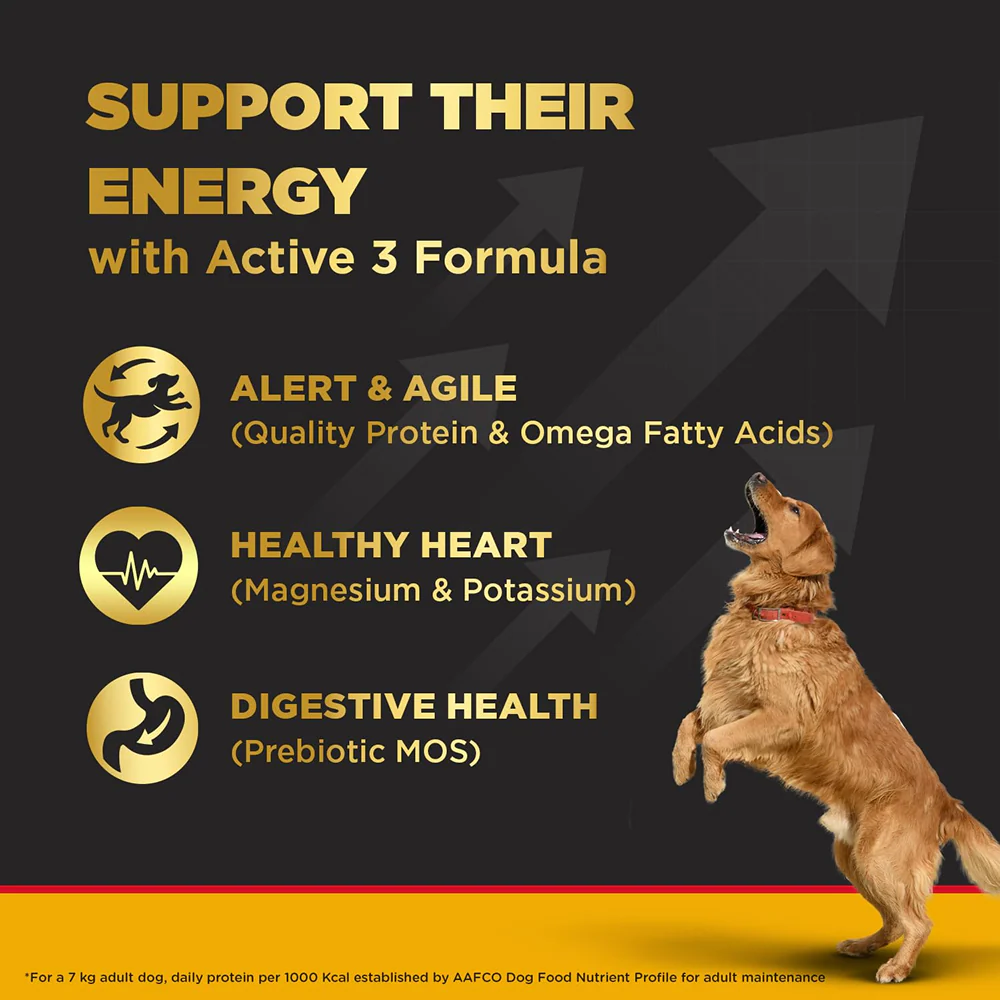 Pedigree PRO Active Adult Large Breed Dry Food, Pedigree Chicken Liver Gravy Adult Dog Wet Food Combo - Image 8