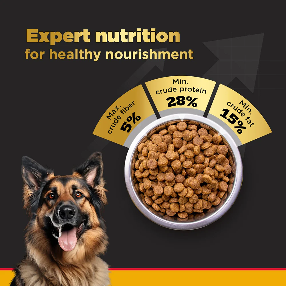 Pedigree PRO Active Adult Large Breed Dry Food, Pedigree Chicken Liver Gravy Adult Dog Wet Food Combo - Image 10