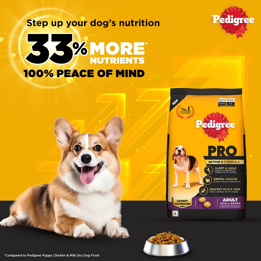 Pedigree PRO Expert Nutrition Adult Dry Food for Small Breed and Pedigree Dentastix Oral Care for Adult (Small Breed of 5 to 10 kg) Treats Combo for Dogs - Image 10