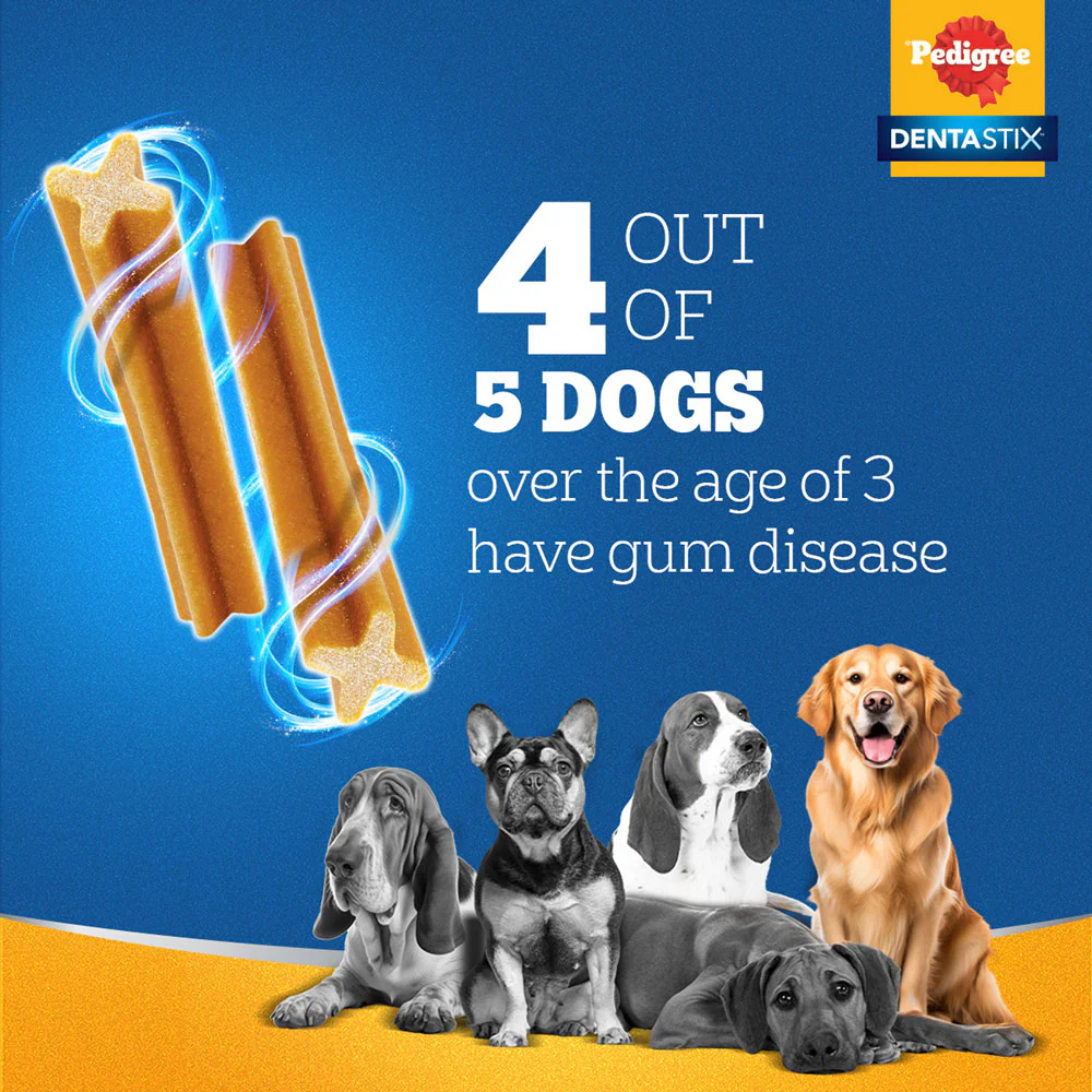 Pedigree PRO Expert Nutrition Adult Dry Food for Small Breed and Pedigree Dentastix Oral Care for Adult (Small Breed of 5 to 10 kg) Treats Combo for Dogs - Image 13