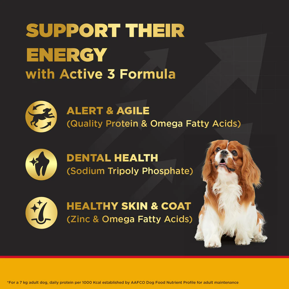 Pedigree PRO Expert Nutrition Adult Dry Food for Small Breed and Pedigree Dentastix Oral Care for Adult (Small Breed of 5 to 10 kg) Treats Combo for Dogs - Image 4