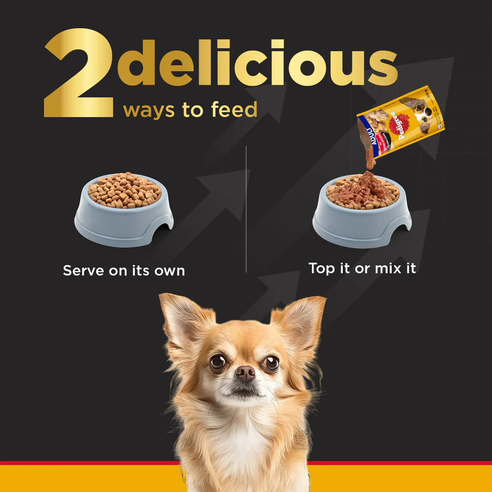 Pedigree PRO Expert Nutrition Adult Dry Food for Small Breed and Pedigree Dentastix Oral Care for Adult (Small Breed of 5 to 10 kg) Treats Combo for Dogs - Image 9