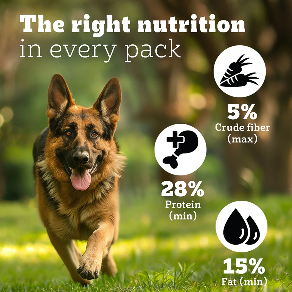 Pedigree PRO Expert Nutrition Active Adult (18 Months Onwards) Large Breed Dog Dry Food - Image 5