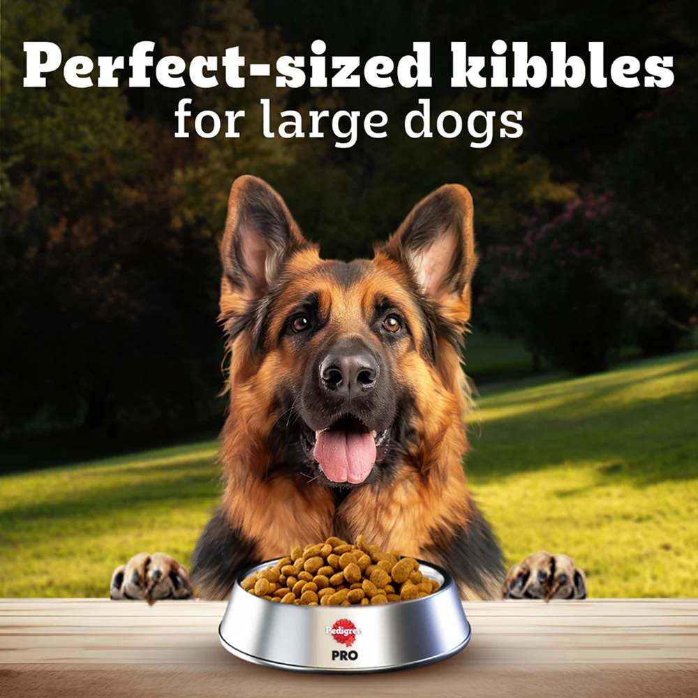 Pedigree PRO Expert Nutrition Active Adult (18 Months Onwards) Large Breed Dog Dry Food - Image 7