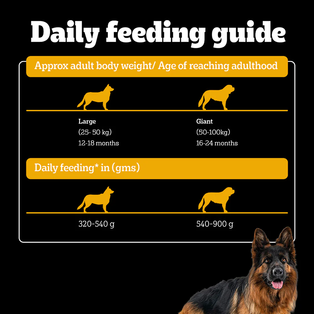 Pedigree PRO Expert Nutrition Active Adult (18 Months Onwards) Large Breed Dog Dry Food - Image 12