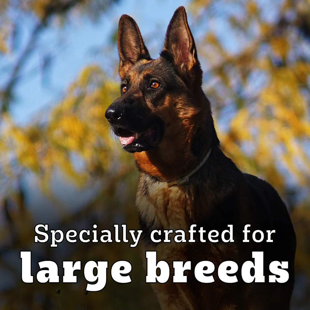 Pedigree PRO Expert Nutrition Active Adult (18 Months Onwards) Large Breed Dog Dry Food - Image 8