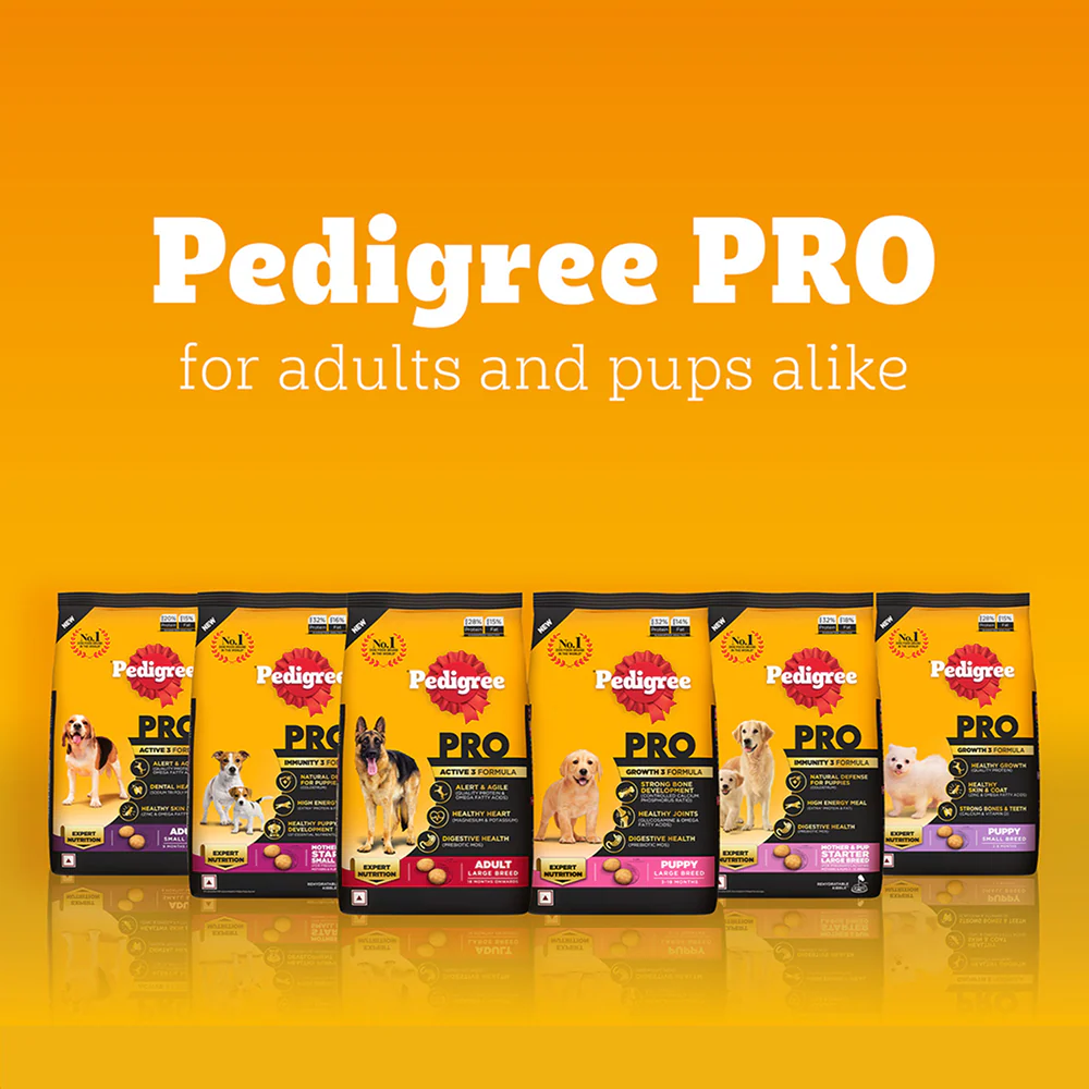 Pedigree PRO Expert Nutrition for Large Breed Puppy (3 to 18 Months) Dog Dry Food - Image 15