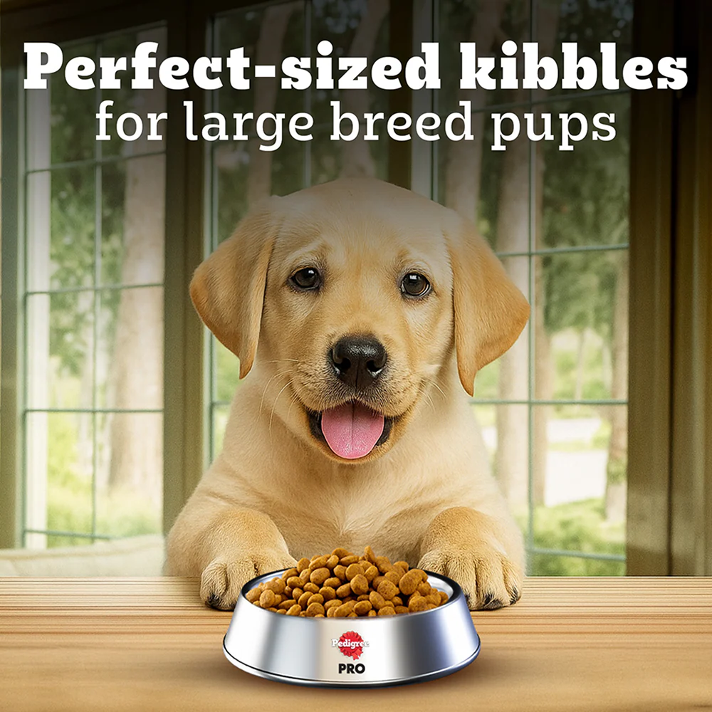 Pedigree PRO Expert Nutrition for Large Breed Puppy (3 to 18 Months) Dog Dry Food - Image 7