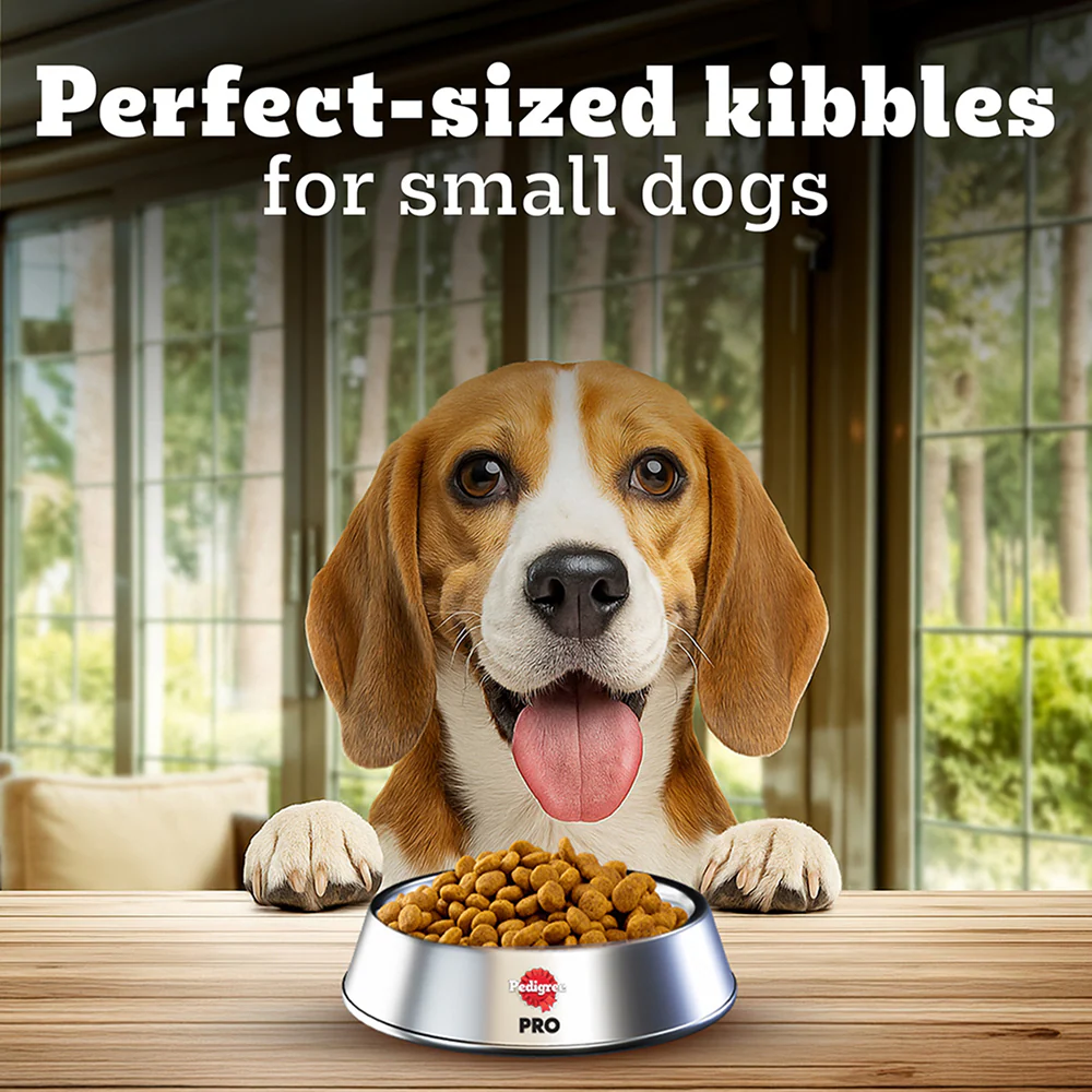 Pedigree PRO Expert Nutrition Adult Dog Dry Food for Small Breed - Image 7
