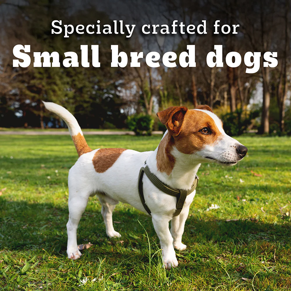 Pedigree PRO Expert Nutrition Adult Dog Dry Food for Small Breed - Image 8