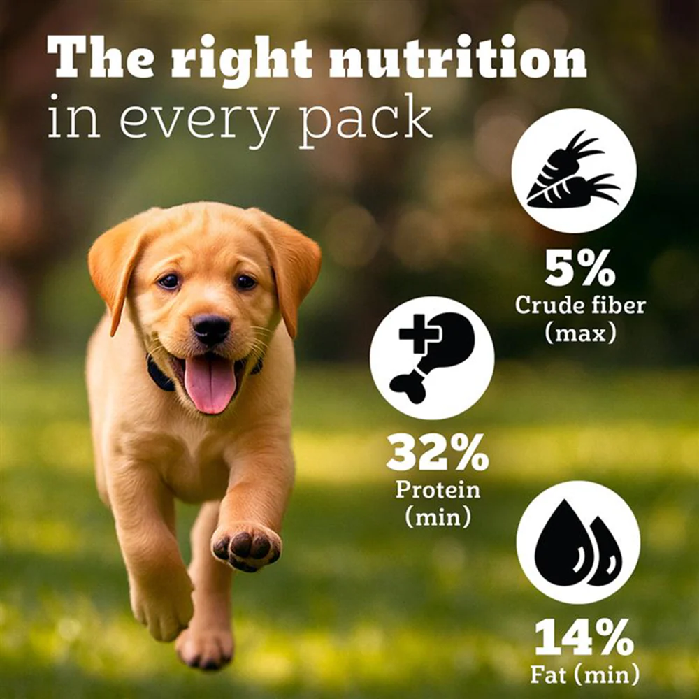 Pedigree PRO Expert Nutrition for Large Breed Puppy(3 to 18 Months) Dry Food - Image 5