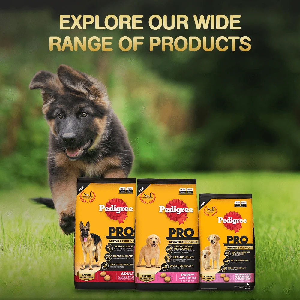 Pedigree PRO Expert Nutrition for Large Breed Puppy Dry and Chicken Chunks in Gravy Puppy Wet Food Combo - Image 10