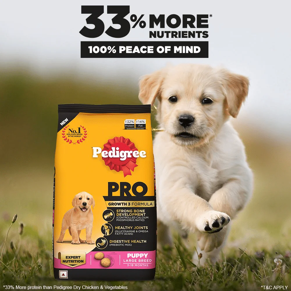 Pedigree PRO Expert Nutrition for Large Breed Puppy Dry and Chicken Chunks in Gravy Puppy Wet Food Combo - Image 4