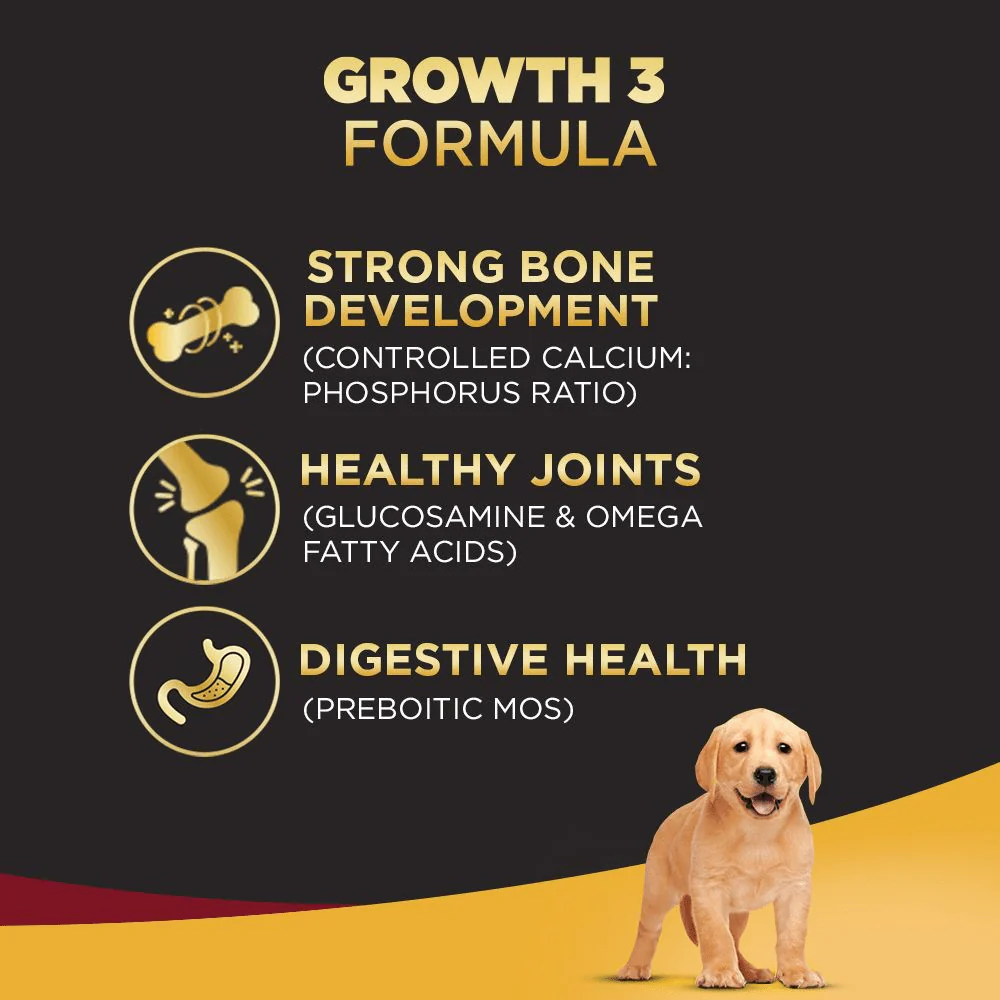 Pedigree PRO Expert Nutrition for Large Breed Puppy Dry and Chicken Chunks in Gravy Puppy Wet Food Combo - Image 5
