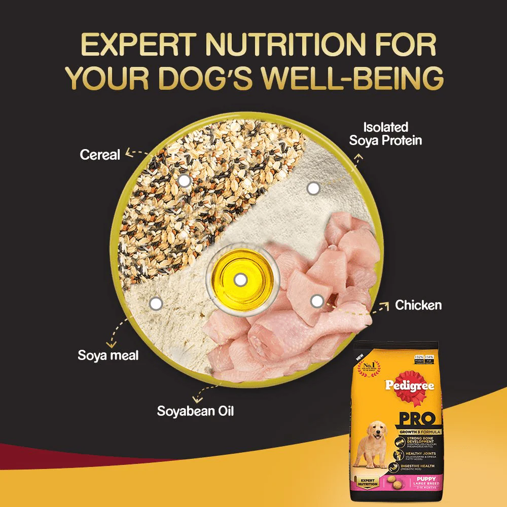 Pedigree PRO Expert Nutrition for Large Breed Puppy Dry and Chicken Chunks in Gravy Puppy Wet Food Combo - Image 8