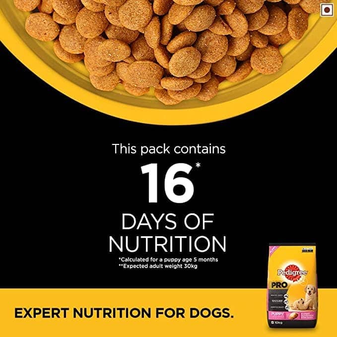 Pedigree PRO Expert Nutrition for Large Breed Puppy Dry and Chicken Chunks in Gravy Puppy Wet Food Combo - Image 9