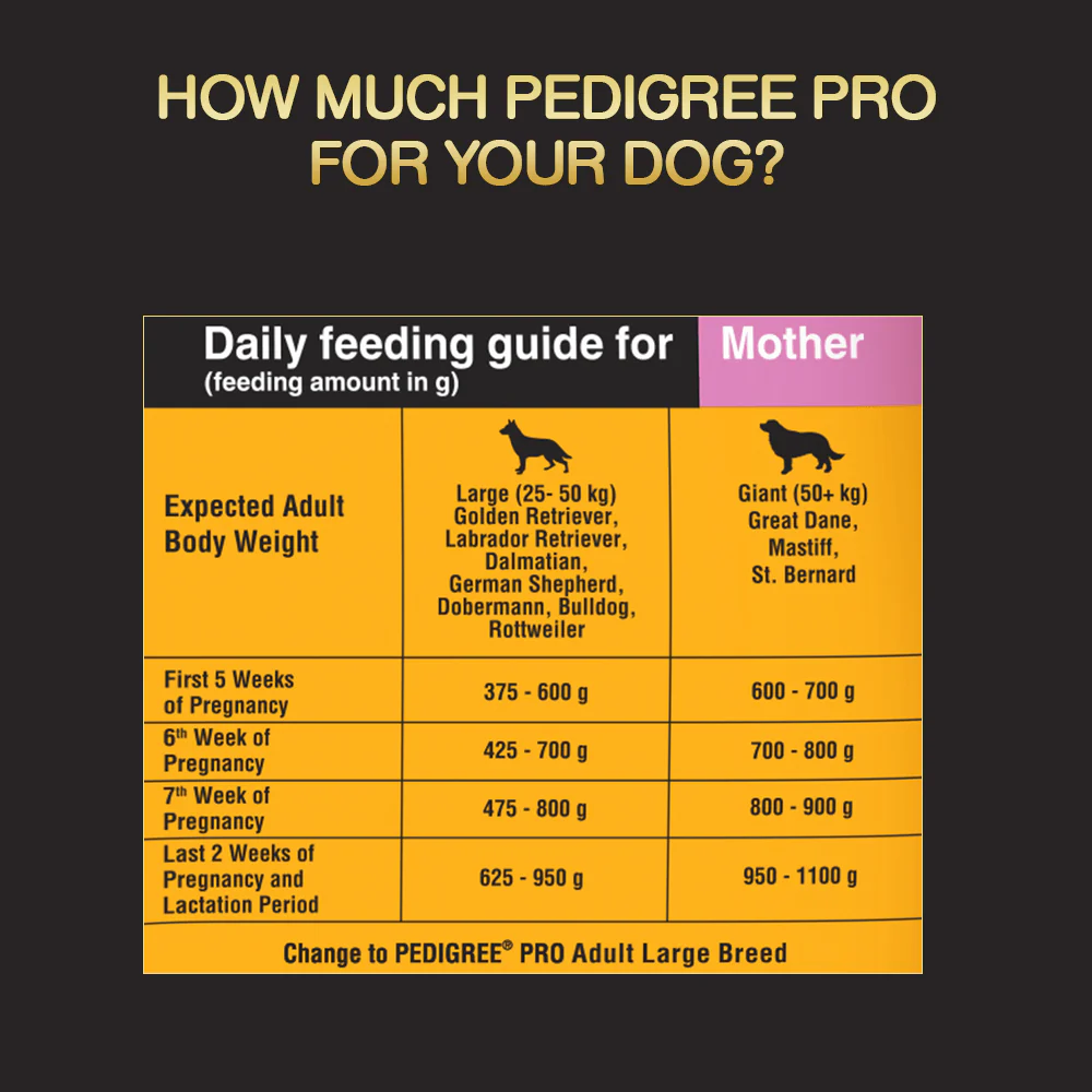 Pedigree PRO Expert Nutrition Lactating/Pregnant Mother & Puppy Starter Large Breed Dog Dry and Chicken Chunks in Gravy Puppy Wet Food Combo - Image 11