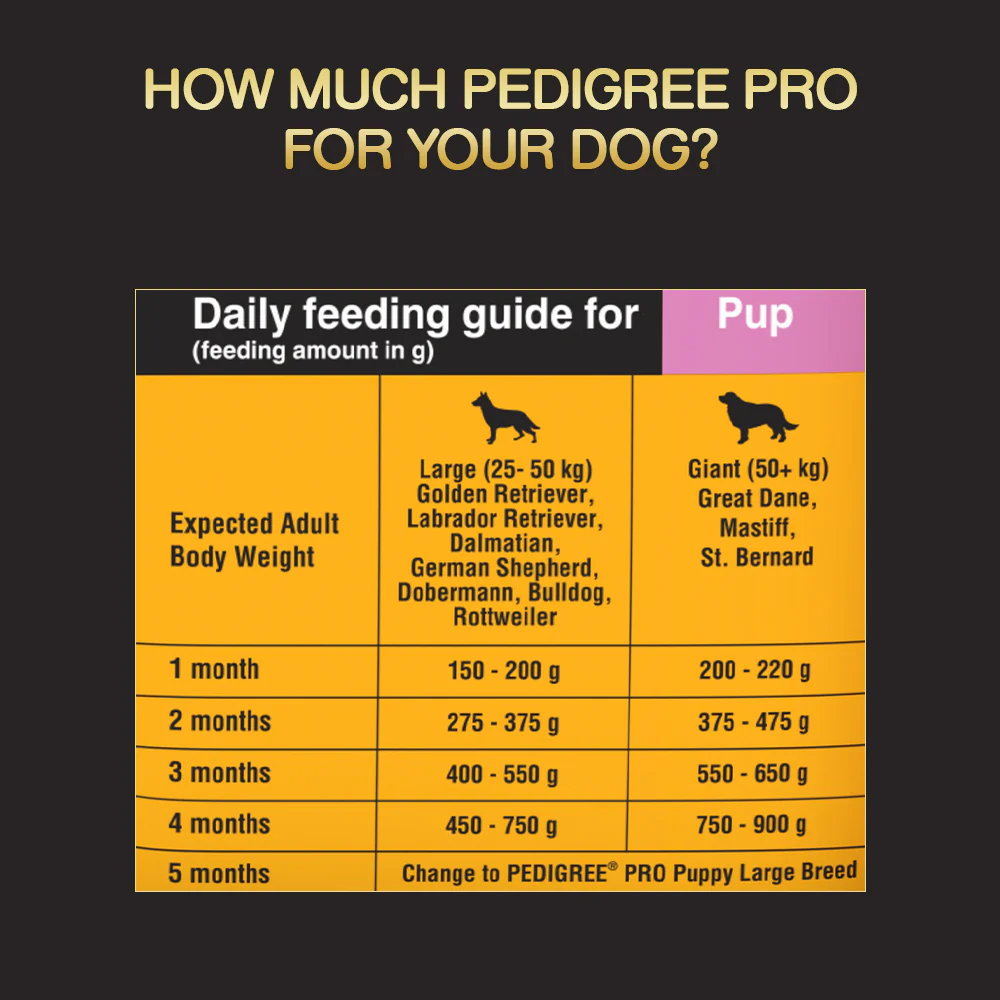 Pedigree PRO Expert Nutrition Lactating/Pregnant Mother & Puppy Starter Large Breed Dog Dry and Chicken Chunks in Gravy Puppy Wet Food Combo - Image 12