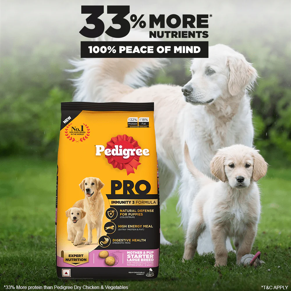 Pedigree PRO Expert Nutrition Lactating/Pregnant Mother & Puppy Starter Large Breed Dog Dry and Chicken Chunks in Gravy Puppy Wet Food Combo - Image 4