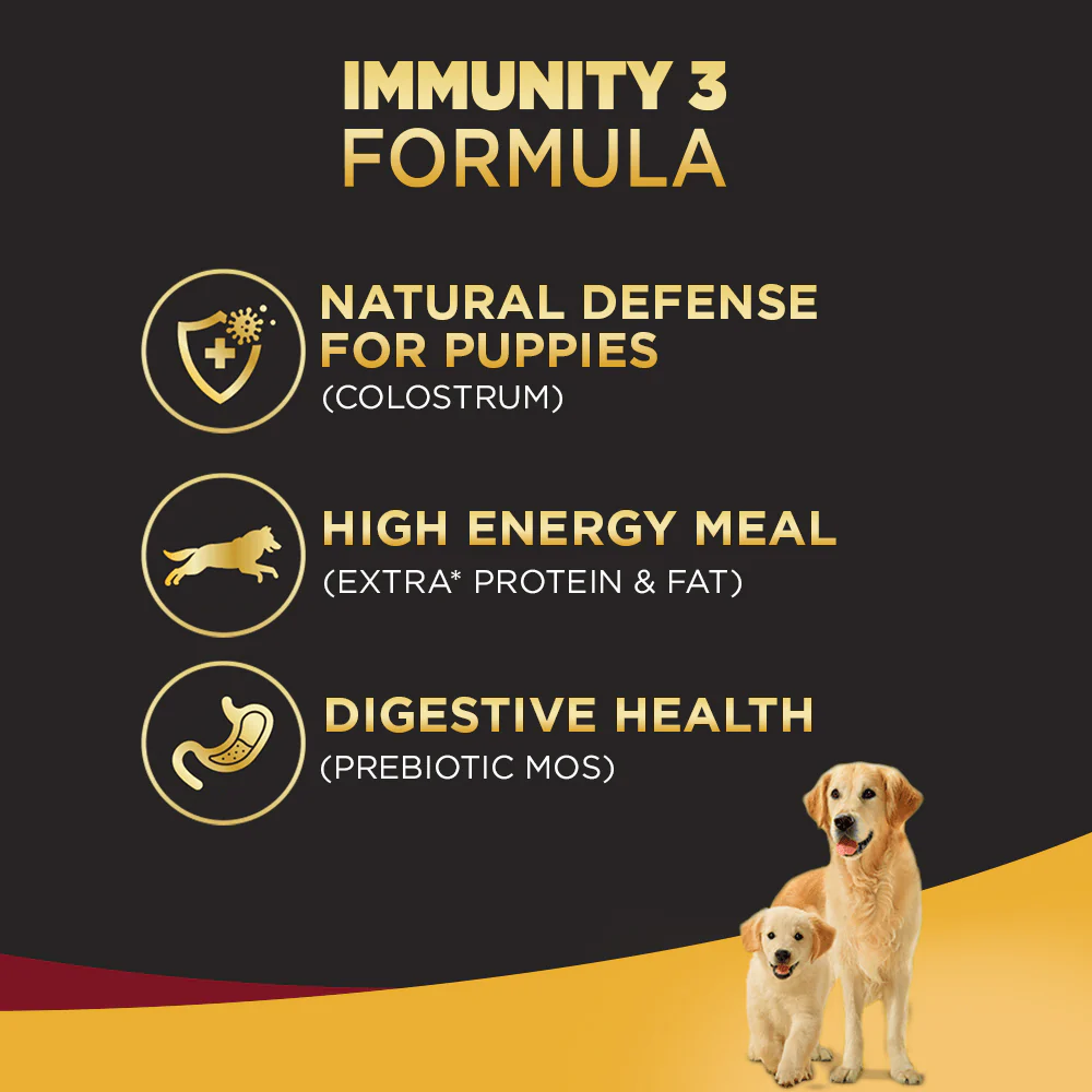 Pedigree PRO Expert Nutrition Lactating/Pregnant Mother & Puppy Starter Large Breed Dog Dry and Chicken Chunks in Gravy Puppy Wet Food Combo - Image 7