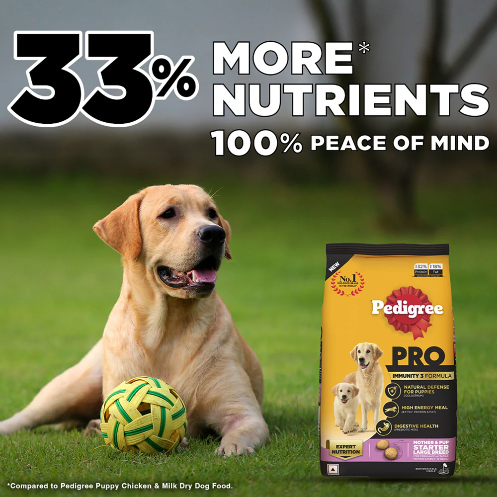 Pedigree PRO Expert Nutrition Lactating/Pregnant Mother & Puppy Starter(3 to 12 Weeks) Large Breed Dog Dry Food - Image 3