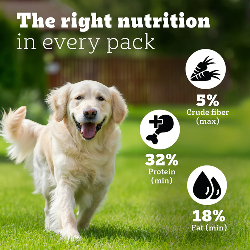 Pedigree PRO Expert Nutrition Lactating/Pregnant Mother & Puppy Starter(3 to 12 Weeks) Large Breed Dog Dry Food - Image 5