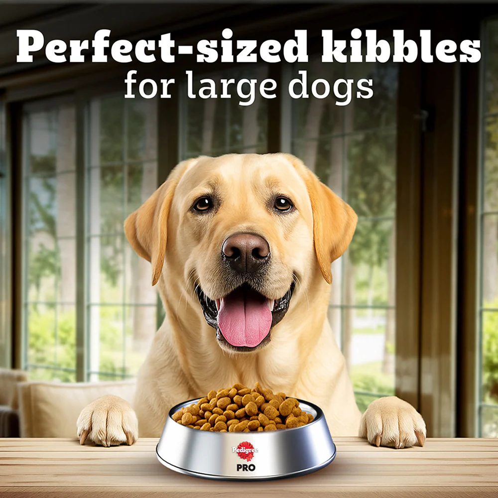 Pedigree PRO Expert Nutrition Lactating/Pregnant Mother & Puppy Starter(3 to 12 Weeks) Large Breed Dog Dry Food - Image 7