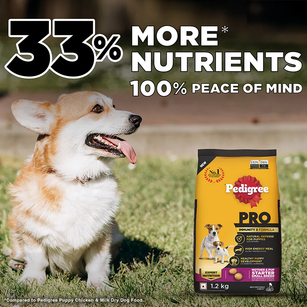 Pedigree PRO Expert Nutrition Lactating/Pregnant Mother & Puppy Starter (3 to 12 Weeks) Small Breed Dog Dry Food - Image 3