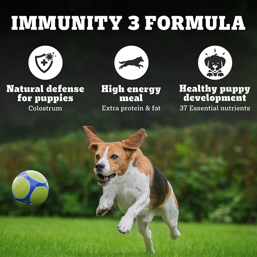 Pedigree PRO Expert Nutrition Lactating/Pregnant Mother & Puppy Starter (3 to 12 Weeks) Small Breed Dog Dry Food - Image 4