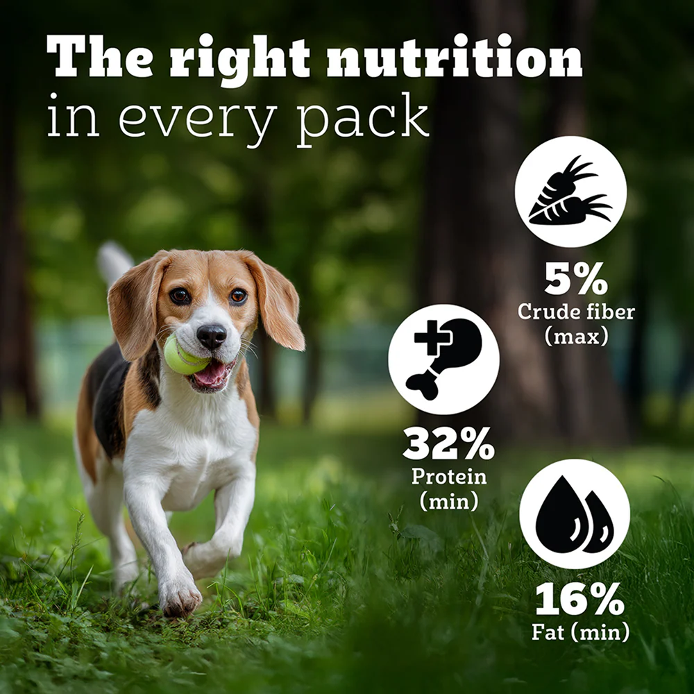 Pedigree PRO Expert Nutrition Lactating/Pregnant Mother & Puppy Starter (3 to 12 Weeks) Small Breed Dog Dry Food - Image 5
