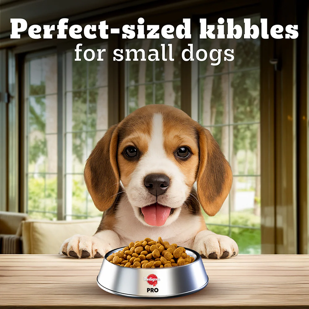 Pedigree PRO Expert Nutrition Lactating/Pregnant Mother & Puppy Starter (3 to 12 Weeks) Small Breed Dog Dry Food - Image 7