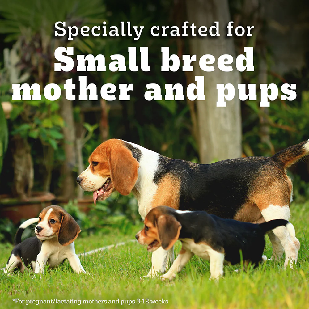 Pedigree PRO Expert Nutrition Lactating/Pregnant Mother & Puppy Starter (3 to 12 Weeks) Small Breed Dog Dry Food - Image 8