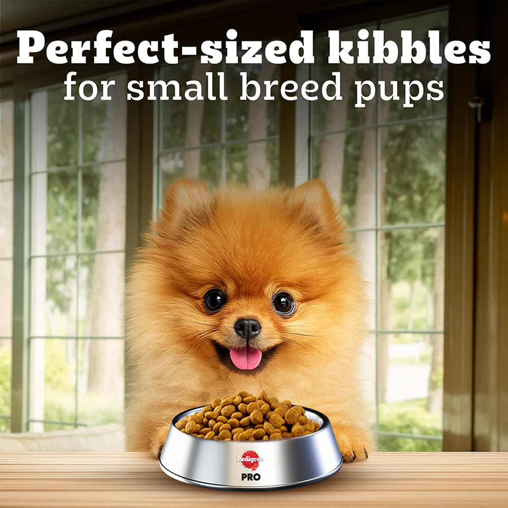 Pedigree PRO Expert Nutrition Small Breed Puppy (2 to 9 Months) Dry Food - Image 7
