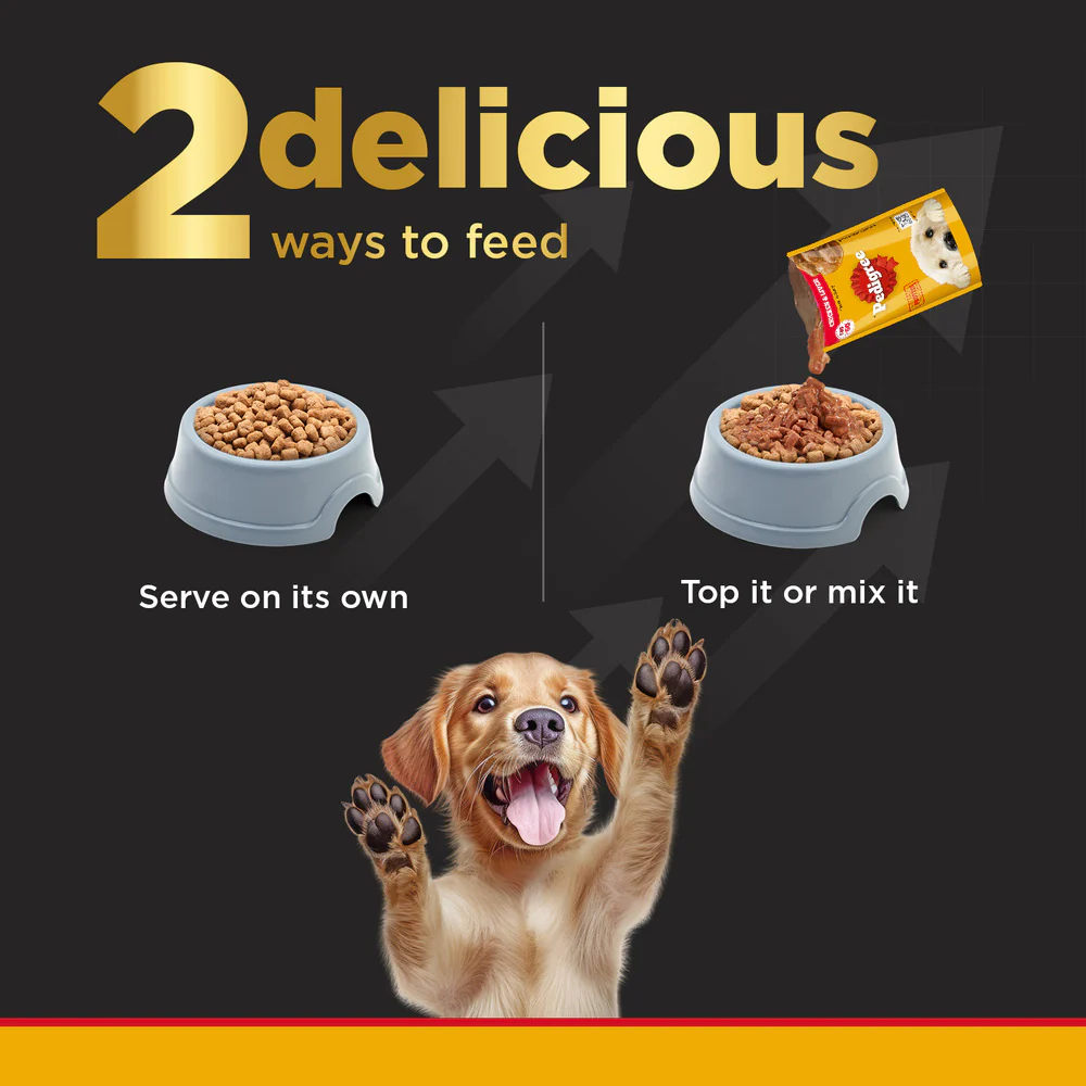 Pedigree PRO Large Breed Puppy Dry Food, Pedigree Chicken Liver Gravy Adult Dog Wet Food Combo - Image 11