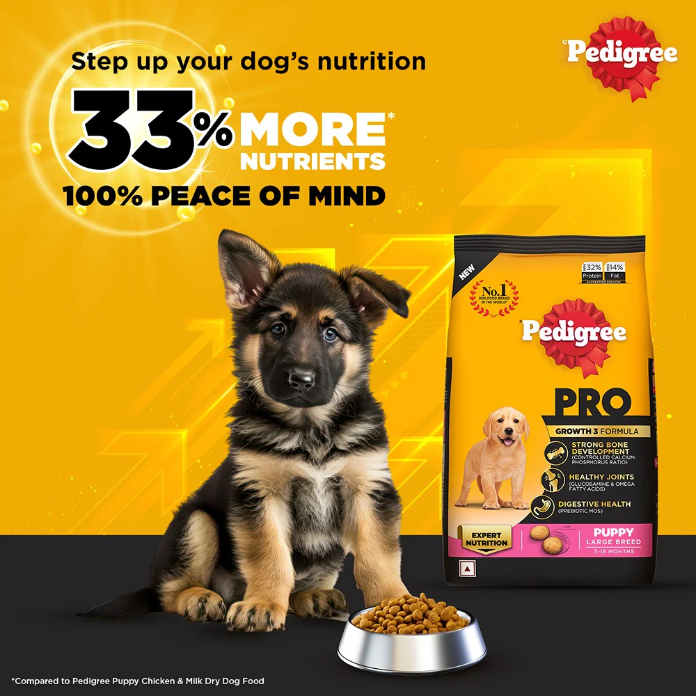 Pedigree PRO Large Breed Puppy Dry Food, Pedigree Chicken Liver Gravy Adult Dog Wet Food Combo - Image 5