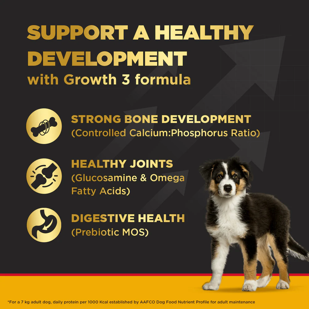 Pedigree PRO Large Breed Puppy Dry Food, Pedigree Chicken Liver Gravy Adult Dog Wet Food Combo - Image 6