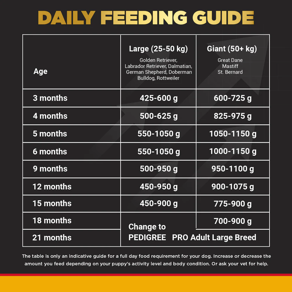 Pedigree PRO Large Breed Puppy Dry Food, Pedigree Chicken Liver Gravy Adult Dog Wet Food Combo - Image 9