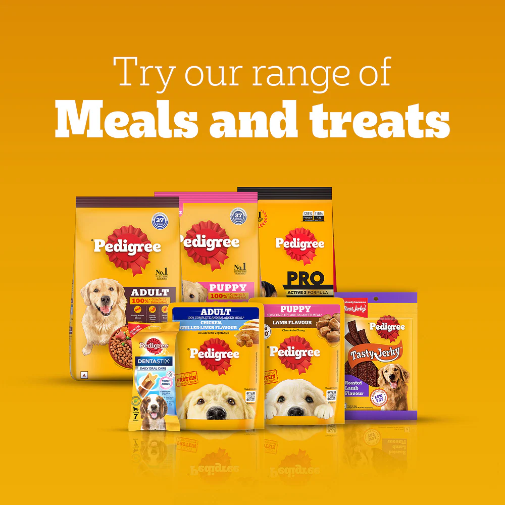 Pedigree Ranchos Spiral Wrap Chicken & Smokey Lamb Dog Treats - Image 11