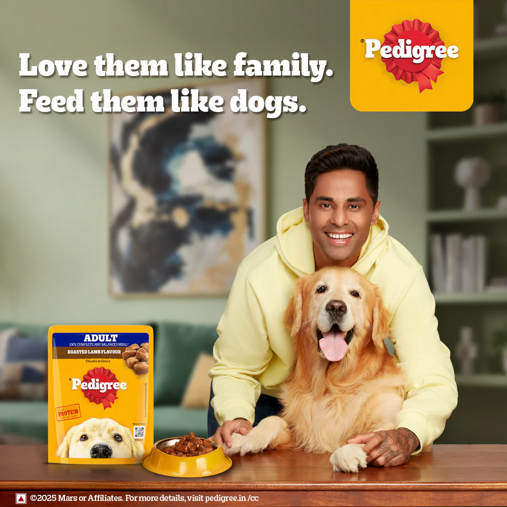 Pedigree Roasted Lamb Flavour Chunks in Gravy Adult Dog Wet Food - Image 11