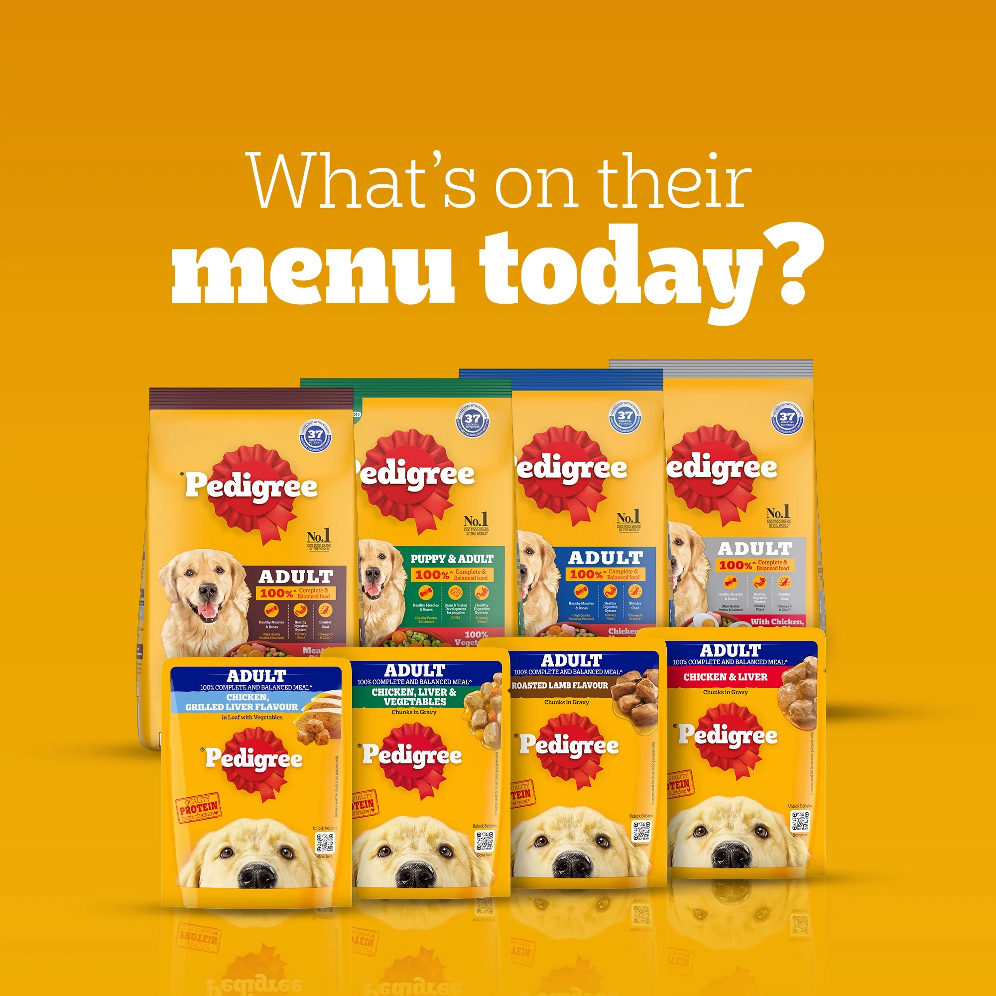 Pedigree Roasted Lamb Flavour Chunks in Gravy Adult Dog Wet Food - Image 12