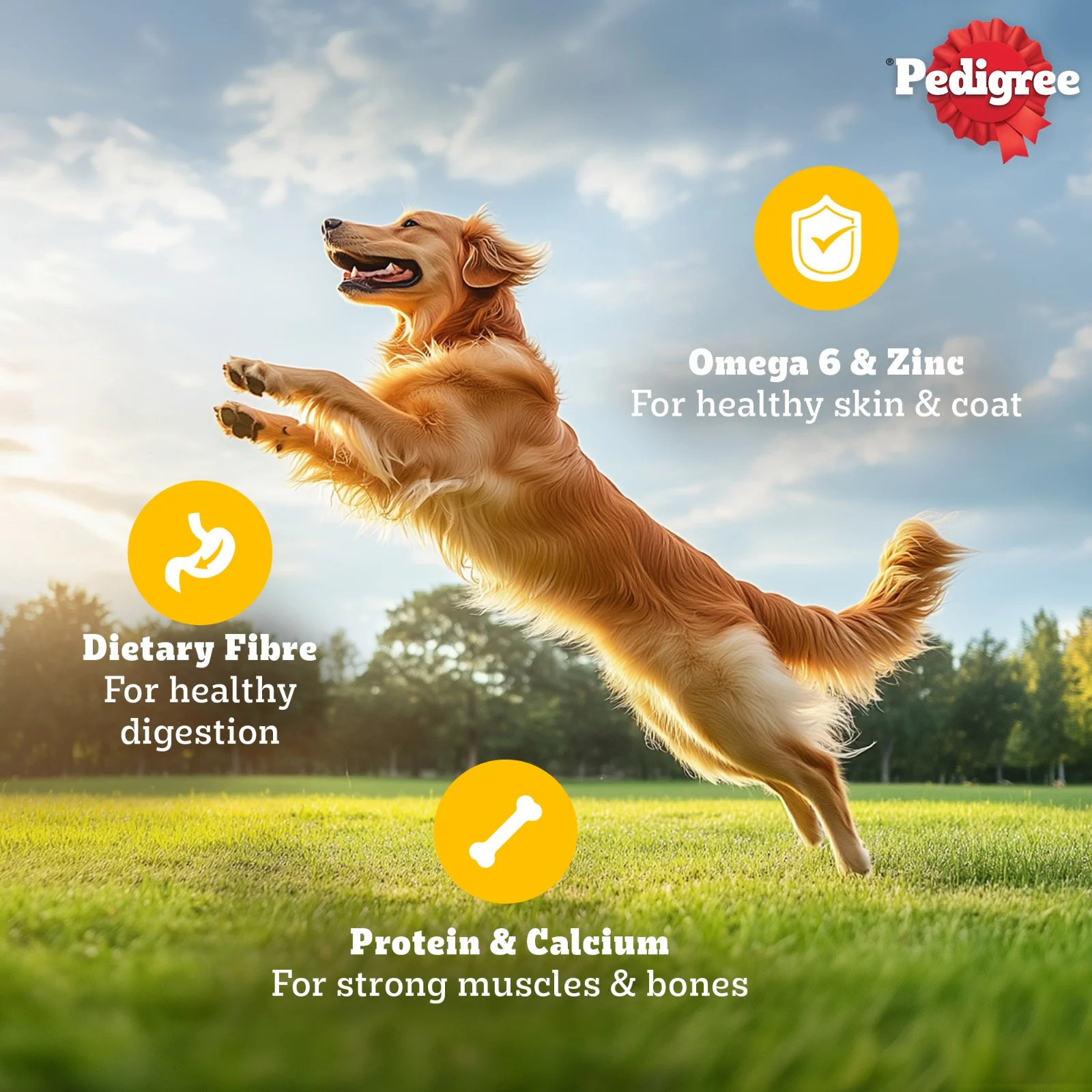 Pedigree Roasted Lamb Flavour Chunks in Gravy Adult Dog Wet Food - Image 5