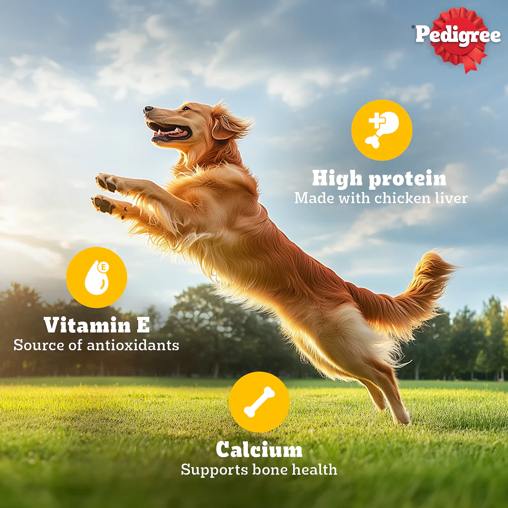 Pedigree Roasted Lamb Tasty Jerky Dog Treat - Image 2