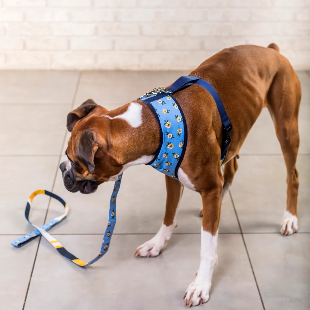 Pet And Parents Blue Flowers and Stripes Reversible Harness for Dogs - Image 7