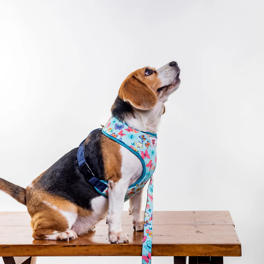 Pet And Parents Butterfly and Polka Reversible Harness for Dogs - Image 6